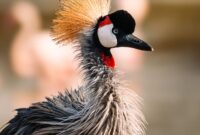 The Urban Jungle: How Cityscapes Influence Avian Migration Patterns The Urban Jungle: How Cityscapes Influence Avian Migration Patterns